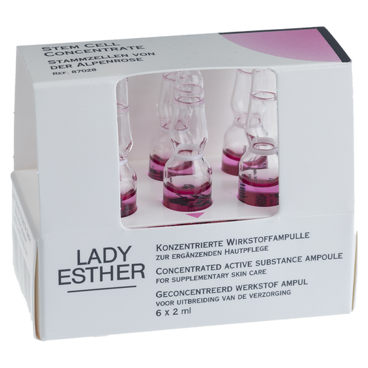 Stem Cell Concentrate Ampules 6 x 2 ml
